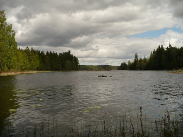 zweden201113.jpg