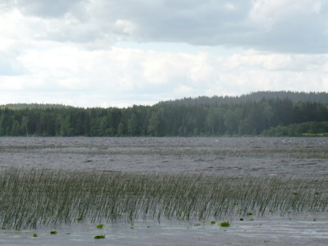 zweden200786.jpg